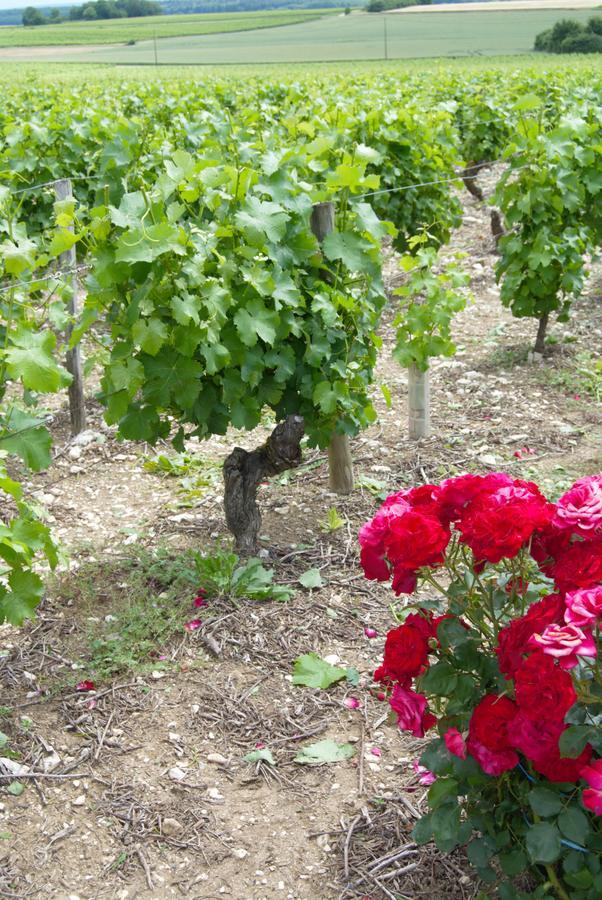 Bed and Breakfast La Pouillyzotte Екстер'єр фото