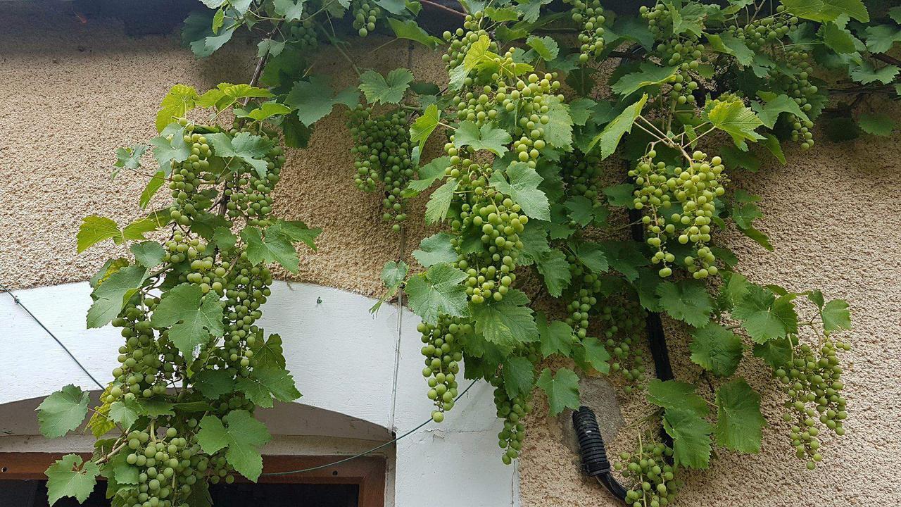 Bed and Breakfast La Pouillyzotte Екстер'єр фото